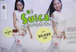 frognation.com Suica