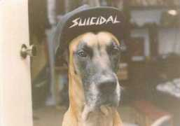 piccsy.com Suicidal