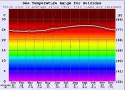 Suicides
