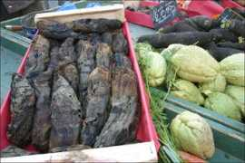 ville-gardanne.fr Suiram