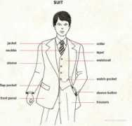 Suit