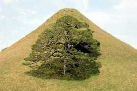 theorientalcaravan.com Suiz