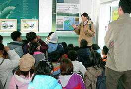 birdskorea.org Sukyung