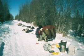 nanuq-alaska.net Sulatna