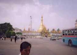 Suleh