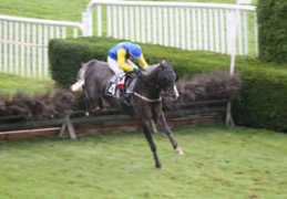 stallallegra.ch Sullano
