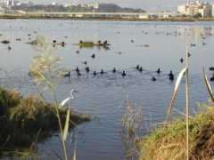 panoramio.com Sullo