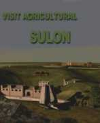 Sulon