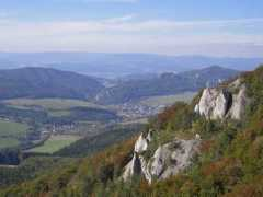 Sulov