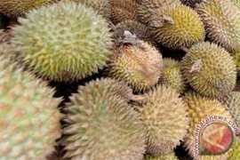 antaranews.com Sulteng
