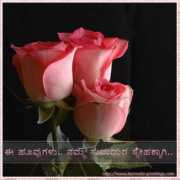 kannada-greetings.com Sumadhura