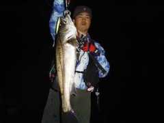 chukai.ne.jp Sumairi