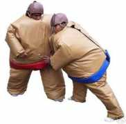 Sumo