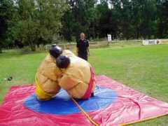 Sumo