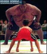 Sumo