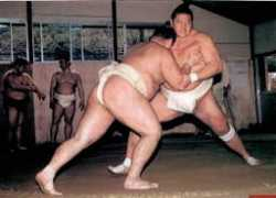 muscle.com.au Sumos