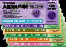 dgdg.co.jp Sumou