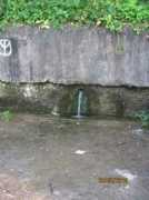 panoramio.com Sumski