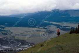 lonepinephoto.ca Sundre
