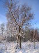 panoramio.com Sunger