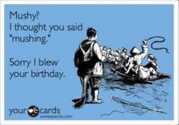 someecards.com Sunissa