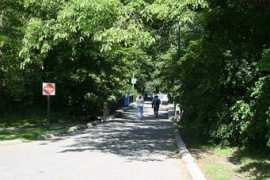 Sunnybrook