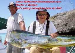 tailhunter-international.com Sunoda