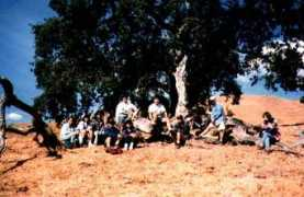 kevingong.com Sunol
