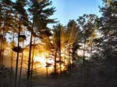 thelensflare.com Sunrays