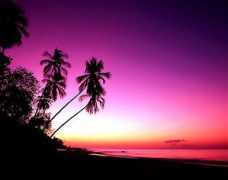 Sunsett
