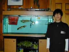 arowana.co.kr Suntae