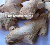 ayurveda.ms Sunthi