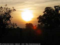 lesacacias.net Sunup