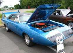 Superbird