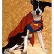 glogster.com Superheroe