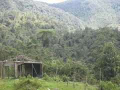 Supia