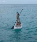 zialater.com Suping