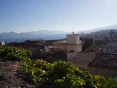 Suquet