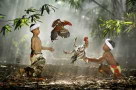 fionagreen.livejournal.com Suradita