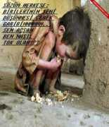 edebiyatdefteri.com Suratim