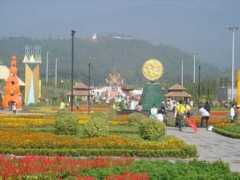 Sureeya