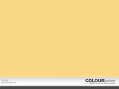 colourlovers.com Surgo