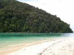 Surin