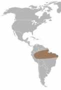theanimalfiles.com Surinam