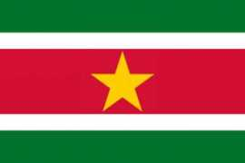 newspapercountry.com Suriname