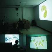 incubatorartlab.com Surlin