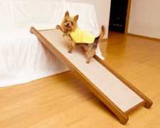 kintaro-bed.co.jp Surob