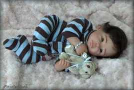 Surroop