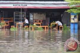 Surut