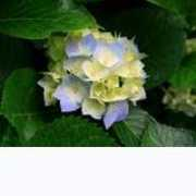 english-portal.com Suruthi